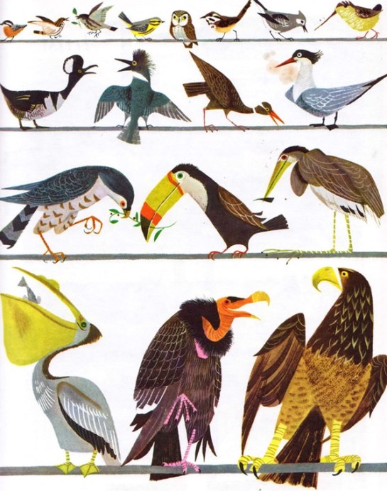 9499849184358403_05dPEtzz_f