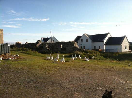 394462_705427121518_94886179_n