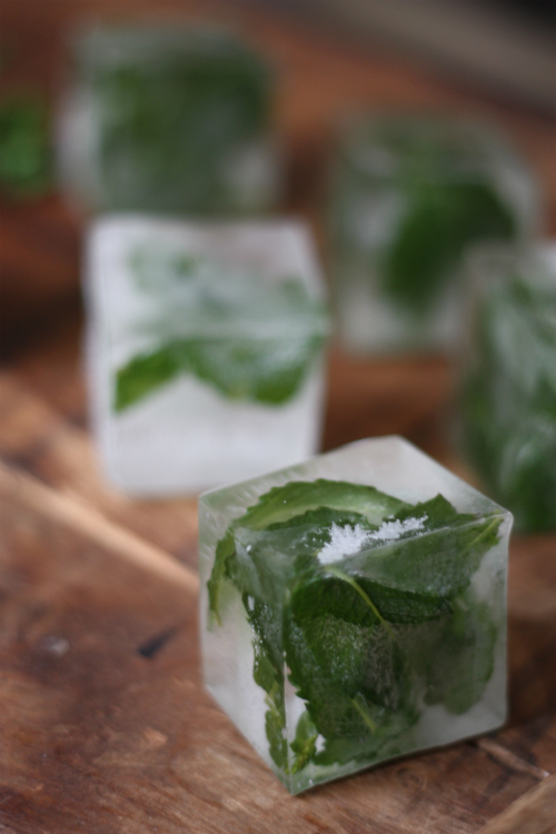Mint Infused Ice Cubes