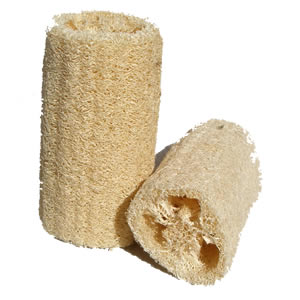 loofah 2012