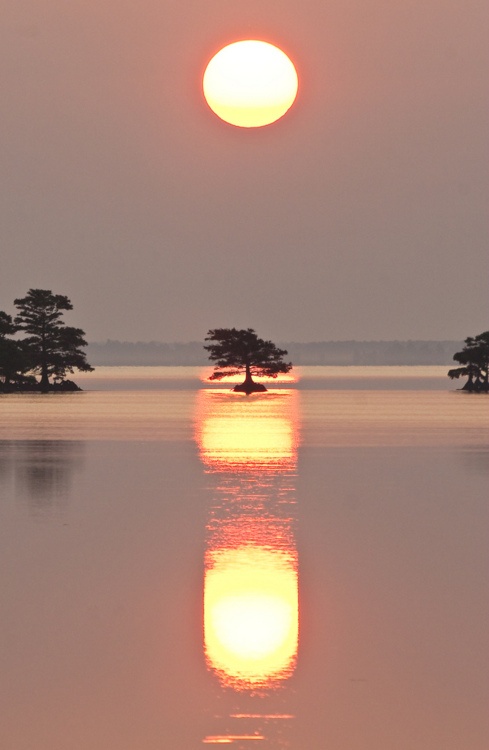 9499849185808862_91KmRfcY_c