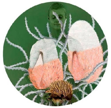 2011-03-30-17-14-13-7-the-compelling-and-confusing-images-often-fool-the