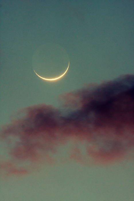 ee0c9275a1dffcf377689ee7d24d90c6