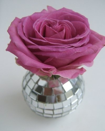 b8ae571d95a2c3ff6230f4f858a04187