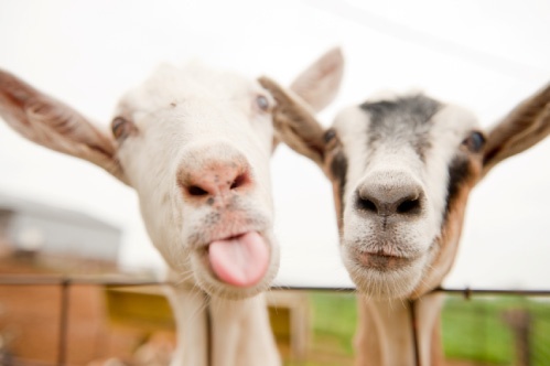 82366db09b67d1e7fb9b04a920f6b0d7