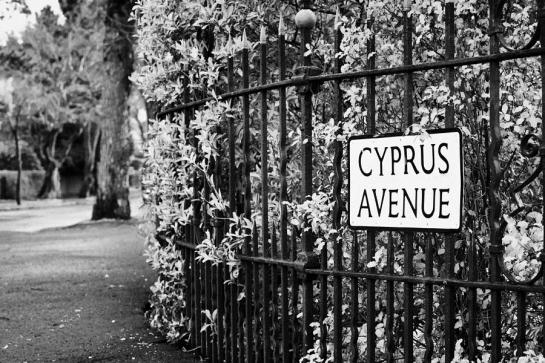1-cyprus-avenue-belfast-as-made-famous-by-the-van-morrison-song-joe-fox-1