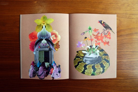 FAV1 - Ladies and Snake Pot_905