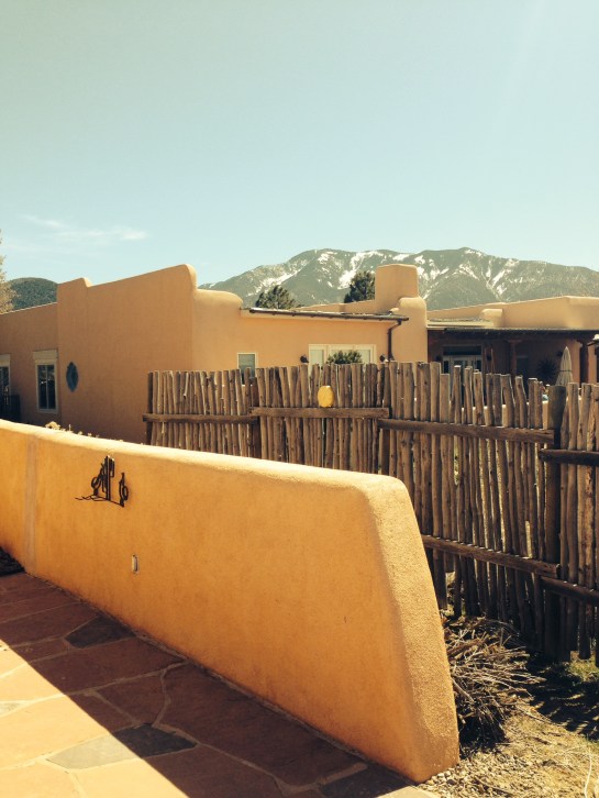 The view from the backyard