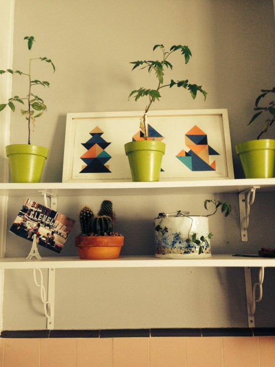 Slowly moving into our new place