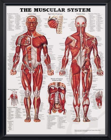 21012c7086d6b529fcd9ea8e576d1134