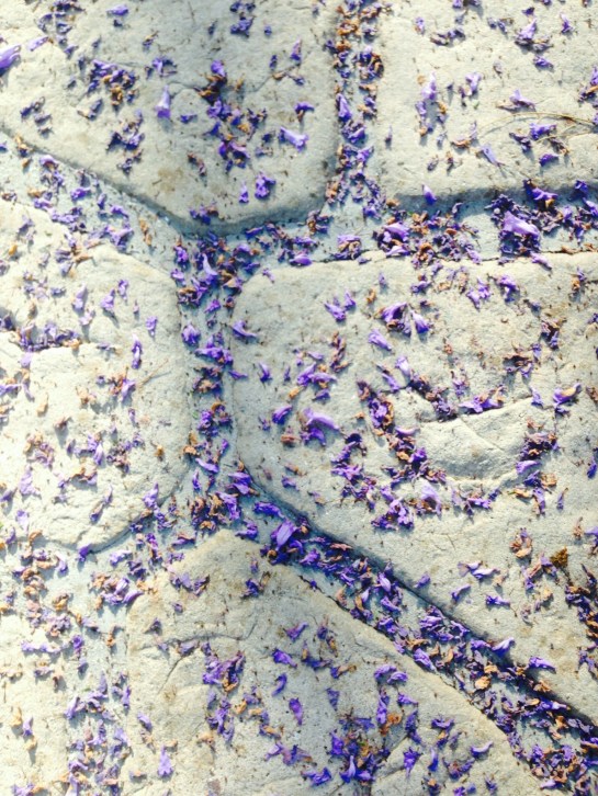 I love this beautiful drive way.