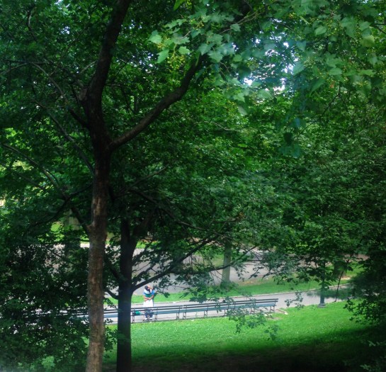 Lovers through the trees - Central Park